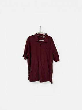 Tommy Bahama Men's Polo in Burgundy